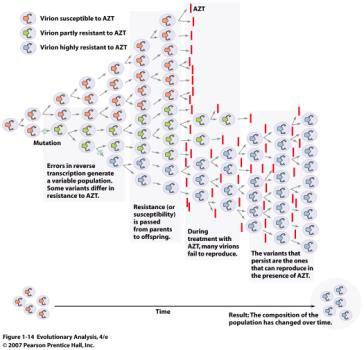 Evolução na ciência aplicada Evolução na ciência aplicada Seleção natural do HIV em resposta a drogas está sendo