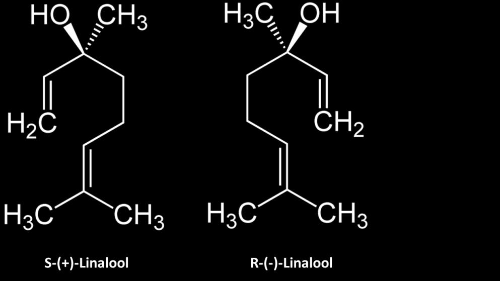Parte 1: Resultados para Linalool; alguns fatos Linalool é composto por R- e S- Stereoisomeros Limiar de Percepção de Aroma segundo Fritsch: R-Linalool 2,2 µg/l S-Linalool 170 µg/l Limiar de