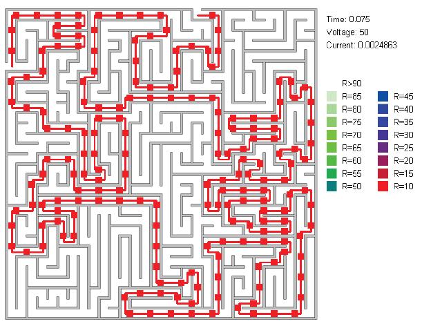 Figura 11: Solução de um labirinto (PERSHIN; VENTRA, 2011).