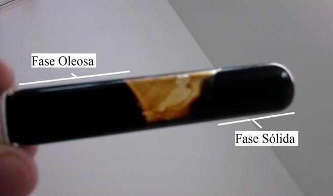 95 Verificou-se que o etanol e óleo reagem formando biodiesel. O produto obtido a partir da reação é apresentado na Figura 21.