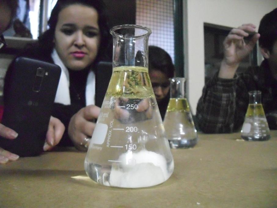 Figura 03. Alunos da turma 102(1º ano do ensino médio), efetuando a etapa do sal e a seguir observando a reação do azeite, no laboratório de ciências da E.E.E.M João Pedro Nunes.
