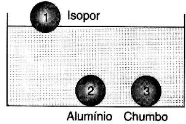 (UEPG PR/2010) A respeito de dois corpos de mesmo volume, designados por 1 e 2, imersos em um líquido, assinale o que for correto.