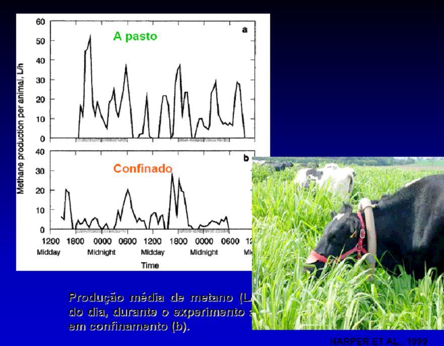 550 kg Ganho de peso vivo anual 100 Idade de abate