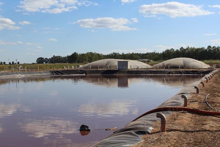 Sistema de captação de água da lagoa de dejetos: Utiliza a água residual oriunda do próprio tratamento de dejetos exclusivamente no sistema de limpeza das