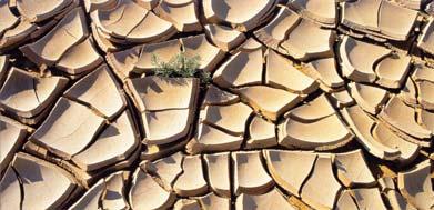 Desertificação Convenção das Nações Unidas de Combate à Desertificação nos Países Afectados por Seca e/ou Desertificação, Particularmente em África (17 Junho 1994): Desertificação - degradação da