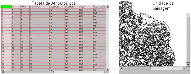 Mapas resultantes