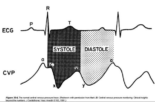 de dióxido de carbono no sangue arterial (PaCO 2 ) Capnometria Oxigenação Coloração das mucosas Pressão parcial de oxigênio no sangue arterial (PaO 2 ) Oximetria de pulso (SpO 2 ) Como monitorar a