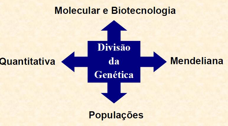 ao longo das gerações e consequentemente, busca interpretar os fenômenos evolutivos.