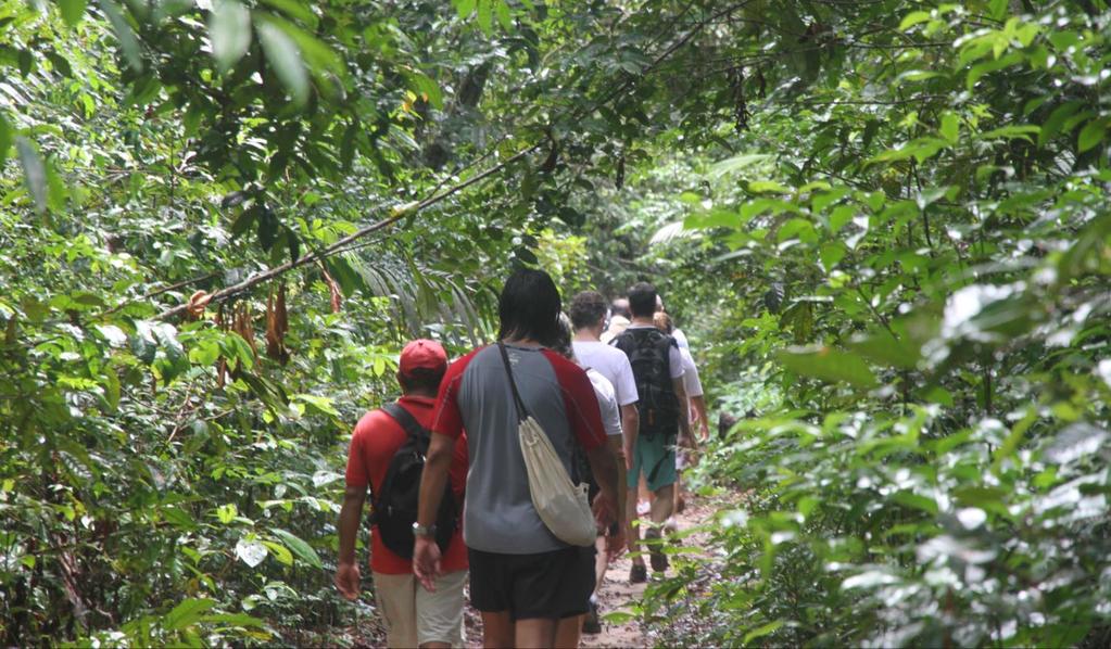 Depois do café da manhã, iniciaremos o dia com uma bela trilha pela floresta nativa, acompanhados de um condutor local que nos apresentará espécies de árvores e plantas da floresta amazônica.