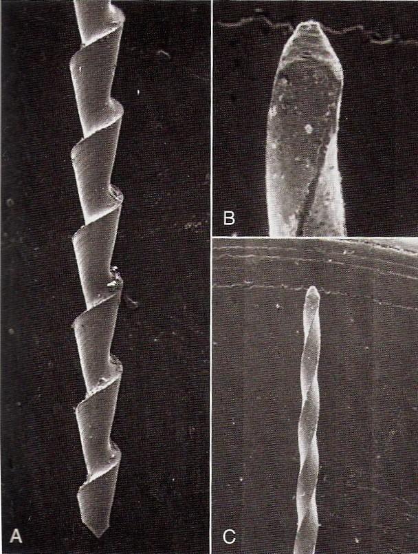 profundidade e assimetria das ranhuras, pode ajustar-se as espiras de corte da lima, melhorando, assim, a sua eficácia de corte (McSapdden, 2007). Fig.4) A corresponde a uma lima Hendstrom.