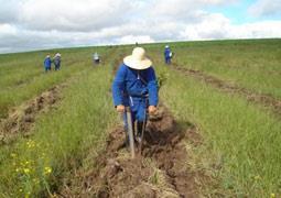 Estatuto do Trabalhador Rural Extensão da legislação