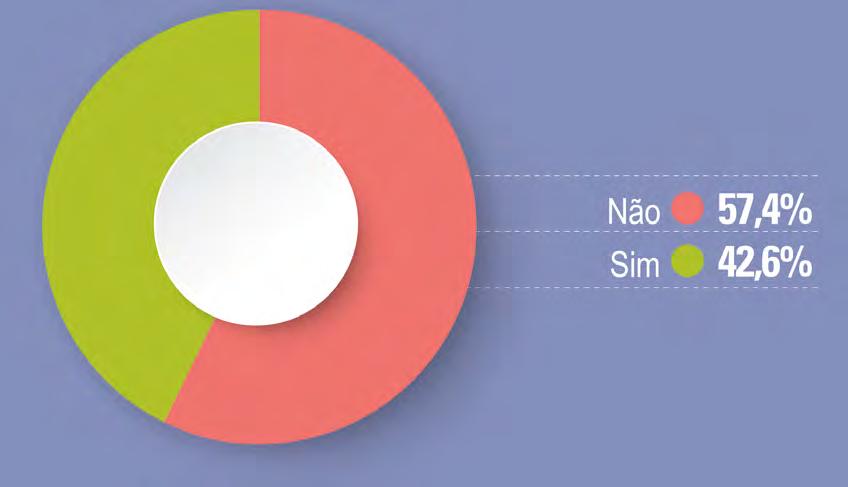 A maioria dos participantes (57,4%) relatou não ter outra ocupação.