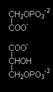 Fotossíntese Mesófilo: Fixação do CO 2 em Molécula de 4 C (Aspartato)