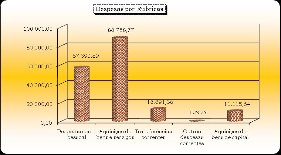 2.2 DESPESAS POR RUBRICAS Através dos gráficos abaixo, concluímos que o maior volume de despesas durante o ano de 2009, são as despesas com aquisição de bens e serviços e as despesas com o pessoal.