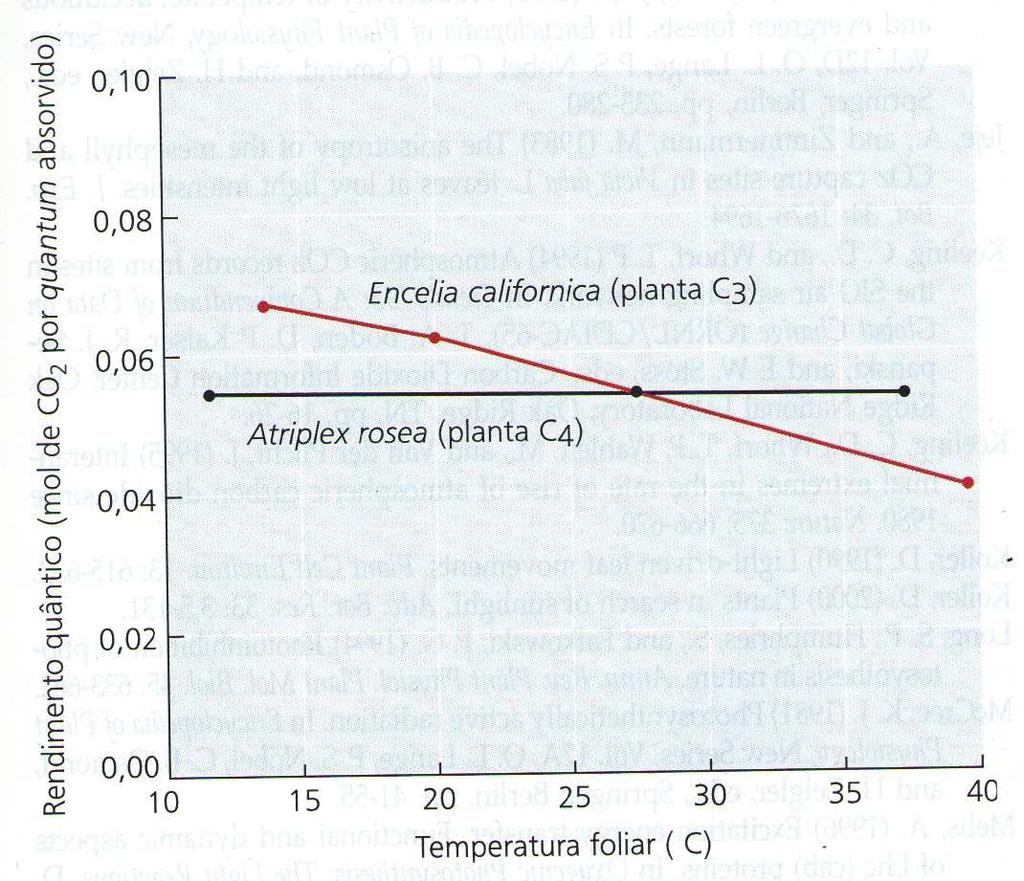 ALTERAÇÕES FISIOLÓGICAS CAUSADAS POR ALTAS TEMPERATURAS Redução da fotossíntese FS: produz carboidratos Aumento da respiração RS: consome carboidratos Ponto de compensação: temperatura na qual o que