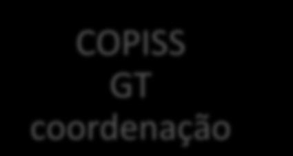 COPISS - Estrutura TUSS Geral COPISS GT