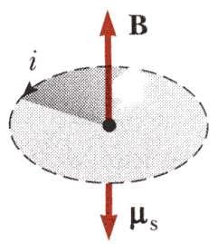 (spin) e o campo magnético produzido pelo