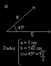 30 - Qual o vetor soma de dois vetores perpendiculares entre si cujos módulos são 6 e 8 unidades?