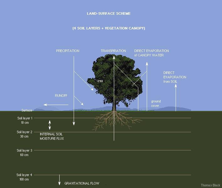 Esquema de superficie: NOAH