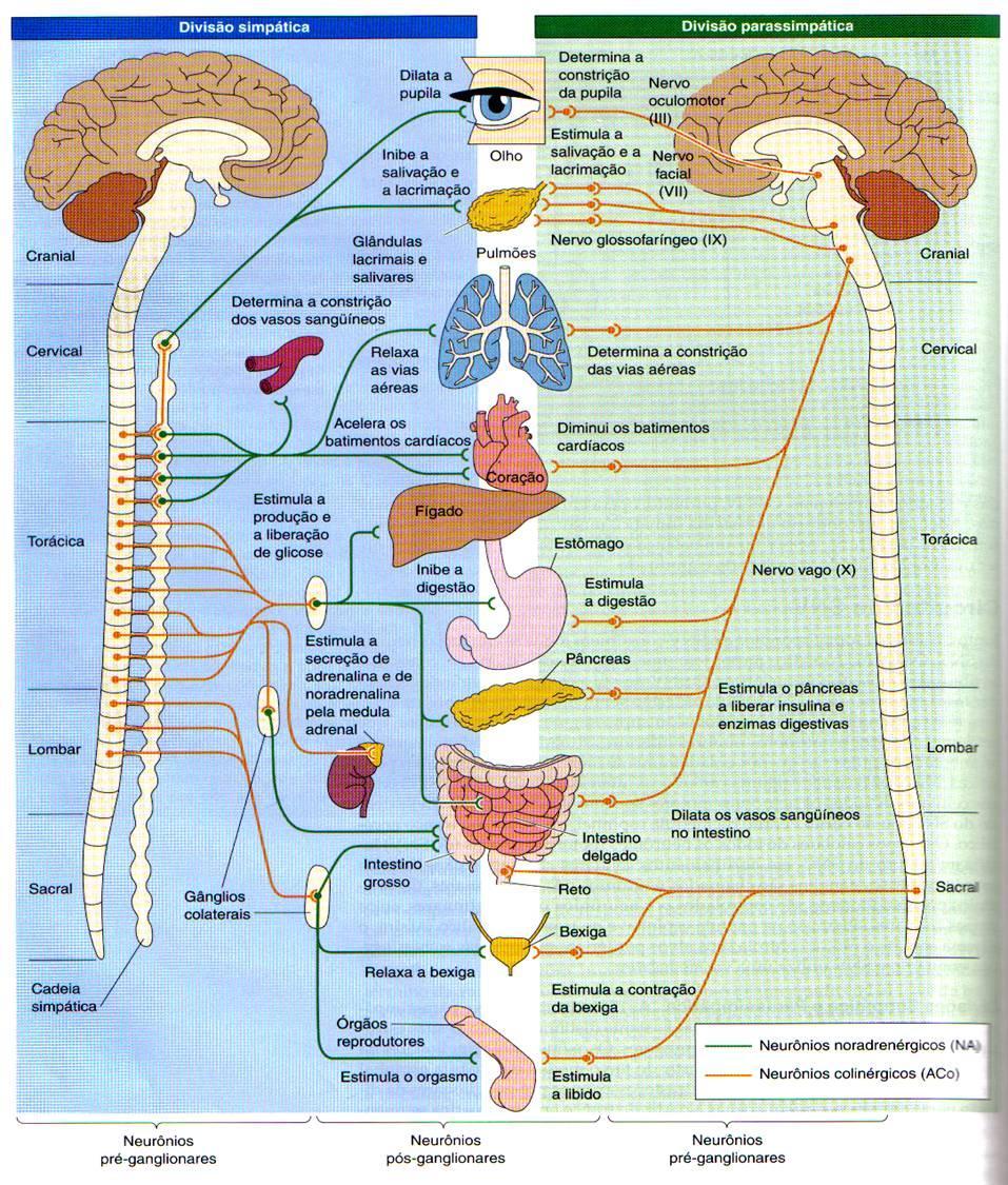 1.Controle do