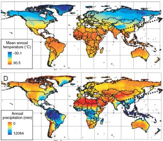 Dados ambientais Foram selecionadas 10 variáveis ambientais não correlacionadas Bioclimas 1. Temp. média diurna 2. Temp. de sazonalidade 3. Máxima temp. do mês mais quente 4. Mínima temp.