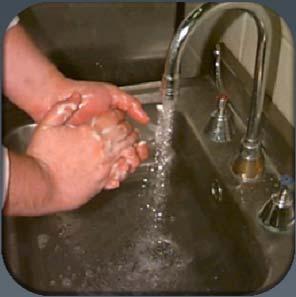 Sanitização das águas de lavagem Adequação dos processos em função do tipo de produtos Estudos de