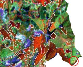 imagem Landsat, de 1999 (Figura 2).