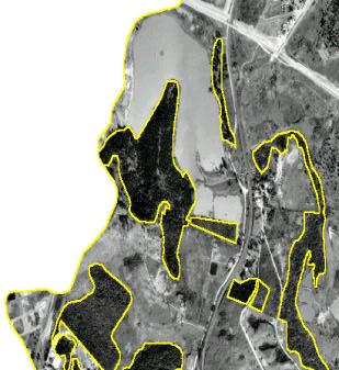 A Figura 3 (A) mostra uma área de entorno da represa de captação de água do município, na qual existe uma área de reflorestamento com eucalipto.