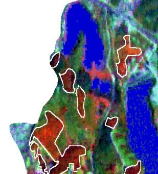 Entretanto, observa-se pela imagem Landsat, apresentada na Figura 3 (B), a remoção da área reflorestada, expondo o solo à processos erosivos cujo arraste de sedimentos pode provocar o assoreamento da