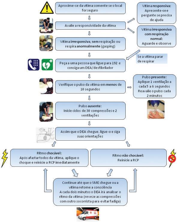 Figura - Algoritmo do atendimento à PCR