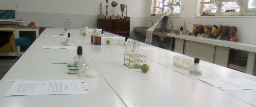 3º Encontro levamos as turmas para o laboratório da escola, para realização da primeira prática de microbiologia intitulada Utilização de mingau como meio de cultura para o crescimento de