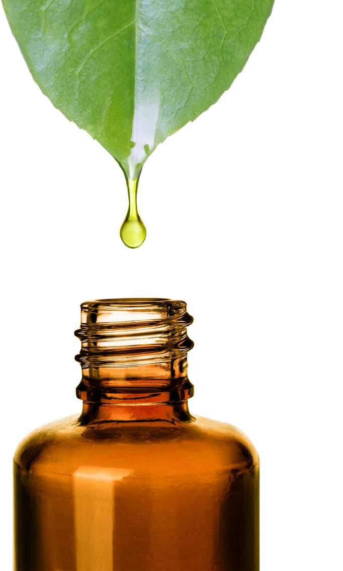 O QUE SÃO ÓLEOS ESSENCIAIS O óleo essencial é um líquido extraído das folhas, flores, cascas, ou outros elementos de uma planta; O óleo essencial tem a função de proteção para a planta, assim como o