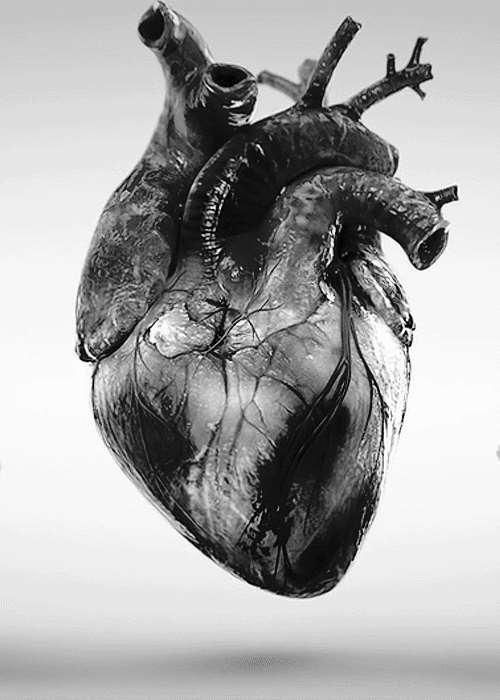 Ciclo cardíaco Sístole: Contração das cavidades cardíacas