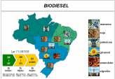 PROGRAMA BIODIESEL BRASIL E JATROPHA O CO TEXTO TÉC ICO-CIE TÍFICO E LEGAL Programa Biodiesel Brasil - Evolução e Oportunidades de Agroenergia - Mundo e Brasil - Agenda Brasil de Desenvolvimento.