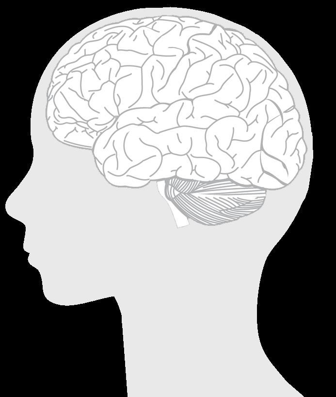 METODOLOGIA CAMINHOS PARA MEDIR INPUTS DA EXPERIÊNCIA DO USUÁRIO 1. EXPECTATIVA O que o usuário imagina da experiência?