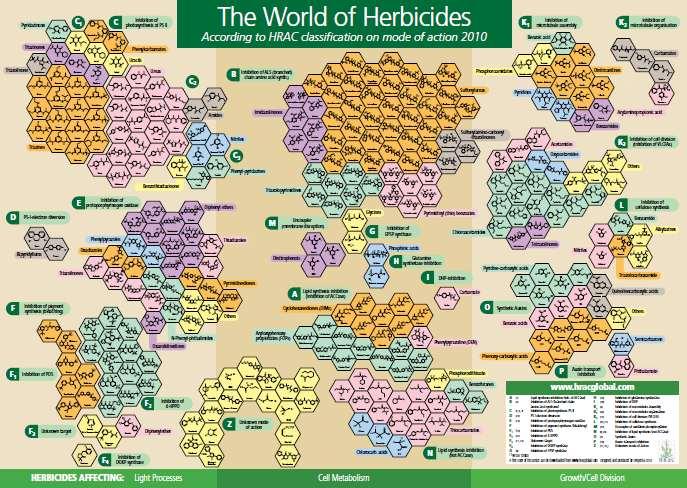 Mecanismo de ação dos herbicidas Inibidores da ACCase (Ex. Herbicida Select) Inibidores da ALS (Ex. Herbicida Classic) Inibidores do fotossistema II (Ex. Herbicida atrazina) N.