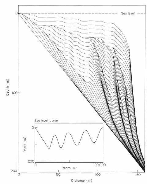 39 Figura 3.4. Resultados de uma simulação de crescimento de corais com a dada curva de variação de nível do mar (Bosscher e Schlager, 1992). 3.3. Simulação bidimensional direta de plataformas