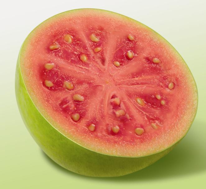 Principais Derivados de Superfrutas Exportados - Goiaba Purês