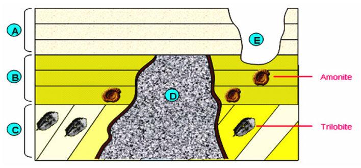 3- A figura ilustra uma determinada área geológica, cujos estratos se encontram desviados da sua posição inicial apenas na estrutura C. 3.