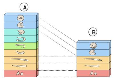 4- A figura representa duas sequências estratigráficas (as linhas tracejadas indicam a correlação de idades entre estratos sedimentares das duas sequências. 4.