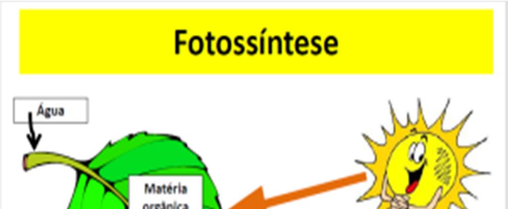 energia química