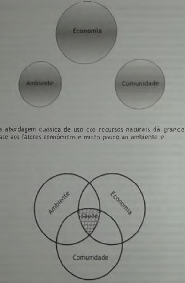 8. Do enfoque ecossistêmico ao ecossanitarismo.