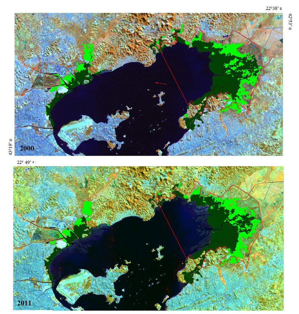 Mapeamento do manguezal Resultados Limite da APA Guapimirim em destaque Mapeamento do manguezal