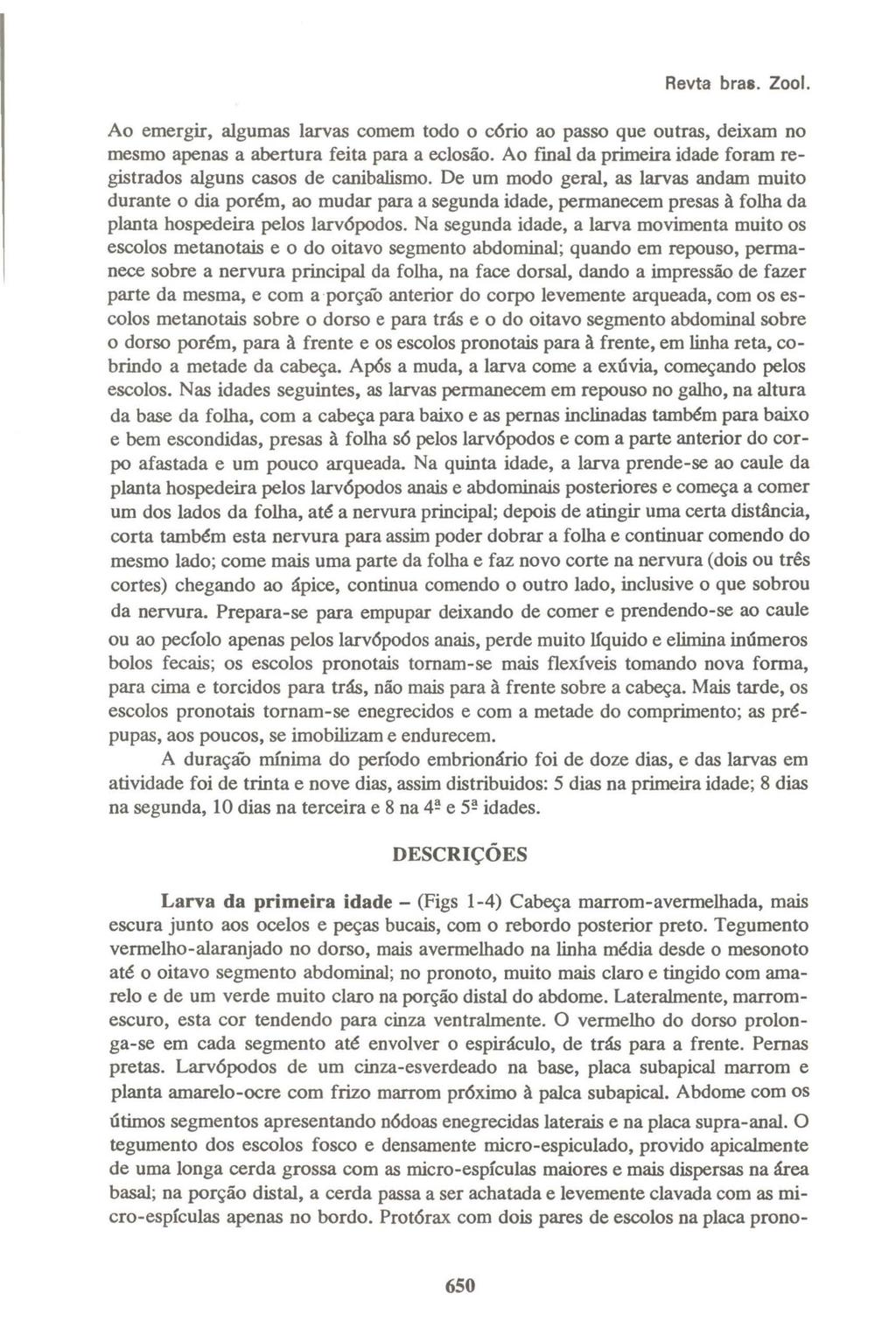 Revta bras. Zool. Ao emergir, algumas larvas comem todo o c6rio ao passo que outras, deixam no mesmo apenas a abertura feita para a eclosão.