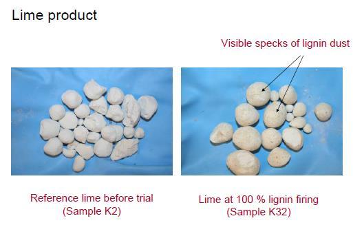Lignina como fonte de energia na calcinação no lugar