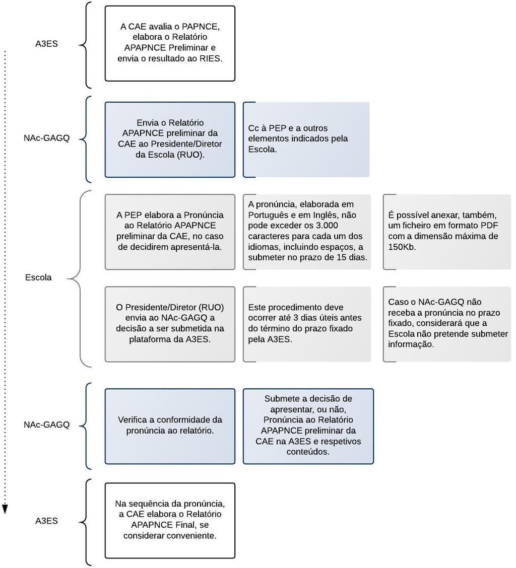 Após a conclusão do Relatório Preliminar da CAE (APAPNCE), este é disponibilizado pela A3ES ao RIES, para que, em audiência prévia, a Escola decida apresentar ou não a pronúncia, dispondo de um prazo