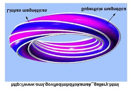 TOKAMAK; Na região de confinamento, a configuração do campo magnético é poloidal;