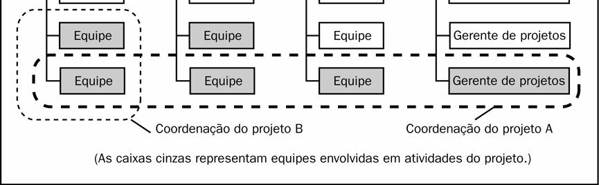 Por exemplo, até mesmo uma organização fundamentalmente funcional pode criar uma equipe de projeto especial para cuidar de um projeto crítico.