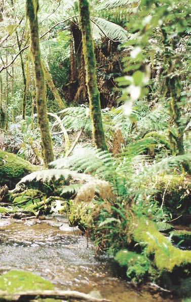 ARCABOUÇO DA LEGISLAÇÃO AMBIENTAL NO