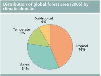 (4,8%) Taxa de perda de florestas: 14,5 milhões de ha/ano Maior taxa: 6,9 milhões